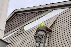 Custom Trim and Detailing for Siding in Brighton, CO